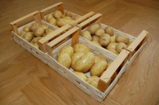 Tölle Handelskontor Holzstapelkisten Kartoffeln