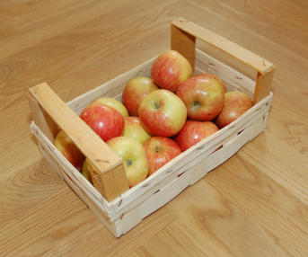 Tölle Handelskontor Holzstapelkisten Äpfel